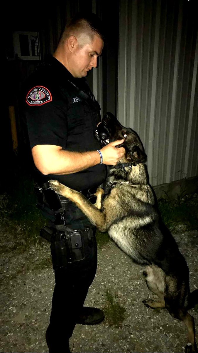 D_Kendrick633's tweet photo. I’m truly at a loss. Stark was so much more than a partner. I took so much pride in all of HIS success! I love that dog and he was taken way too soon. Stärke is German for strength and his strength is what gave us as a team success. Rest easy pup😔 https://t.co/wstySEWBOp