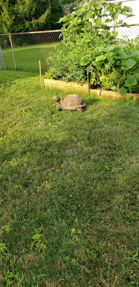 Omg look what's in my backyard 😳