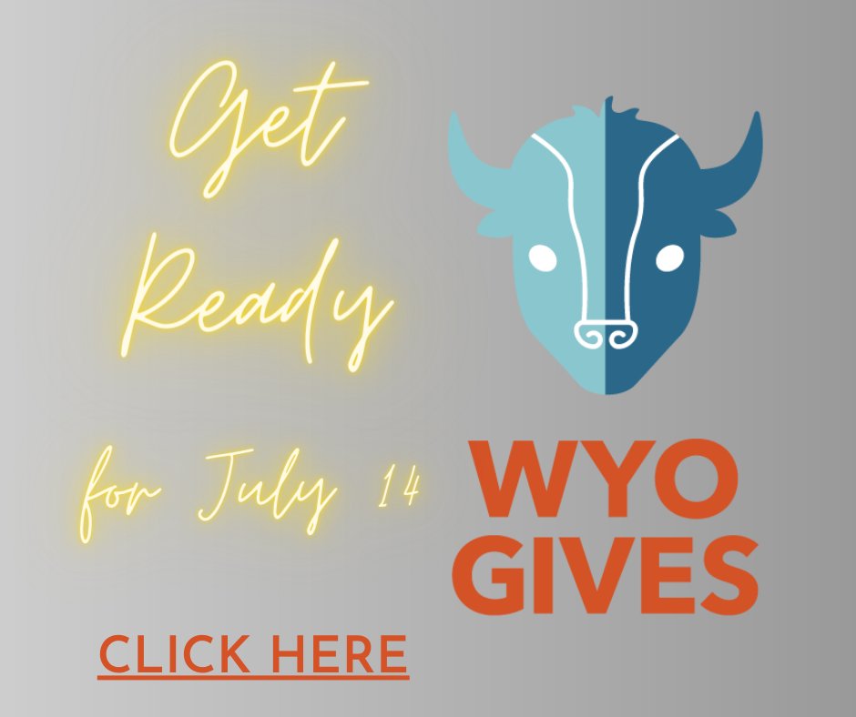 WCADVSA's tweet image. wyogives.org/organizations/…