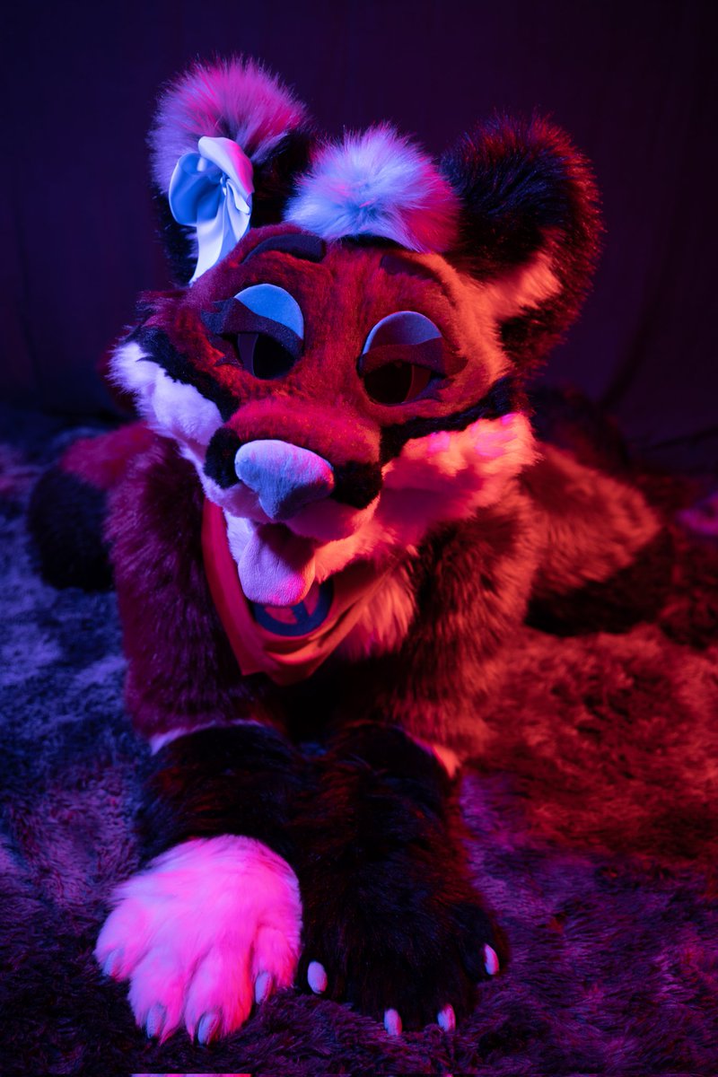 SmolJesseFox's tweet photo. Whoa, this lighting brings out a whole different side of this foxy fox 😳 #FursuitFriday

📸: @wulfgar6929 https://t.co/lPPO7dTI0V