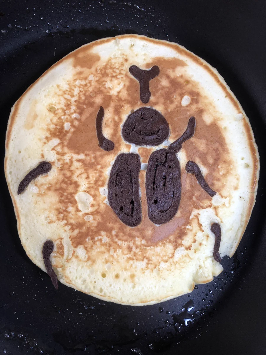カブトムシのホットケーキを作るはずが？カブトムシの死骸が出来上がるwww