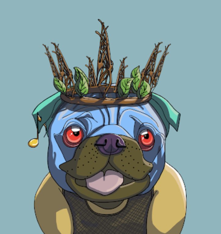 ImKapre's tweet photo. That’s it, I’m officially obsessed with @TopDogBeachClub ￼#NFTs https://t.co/0wzv4JBKoE