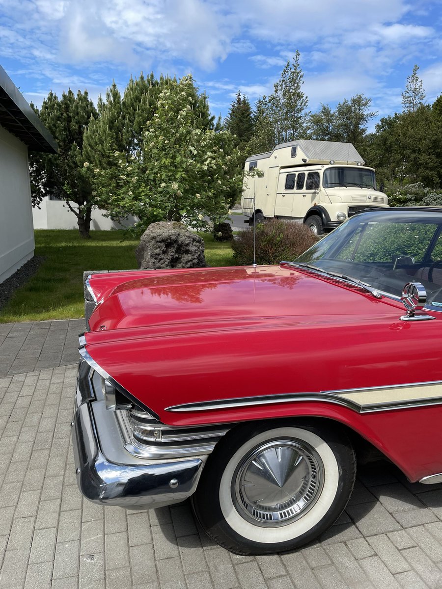 Gudny Thorarensen 🇵🇸 tweet media