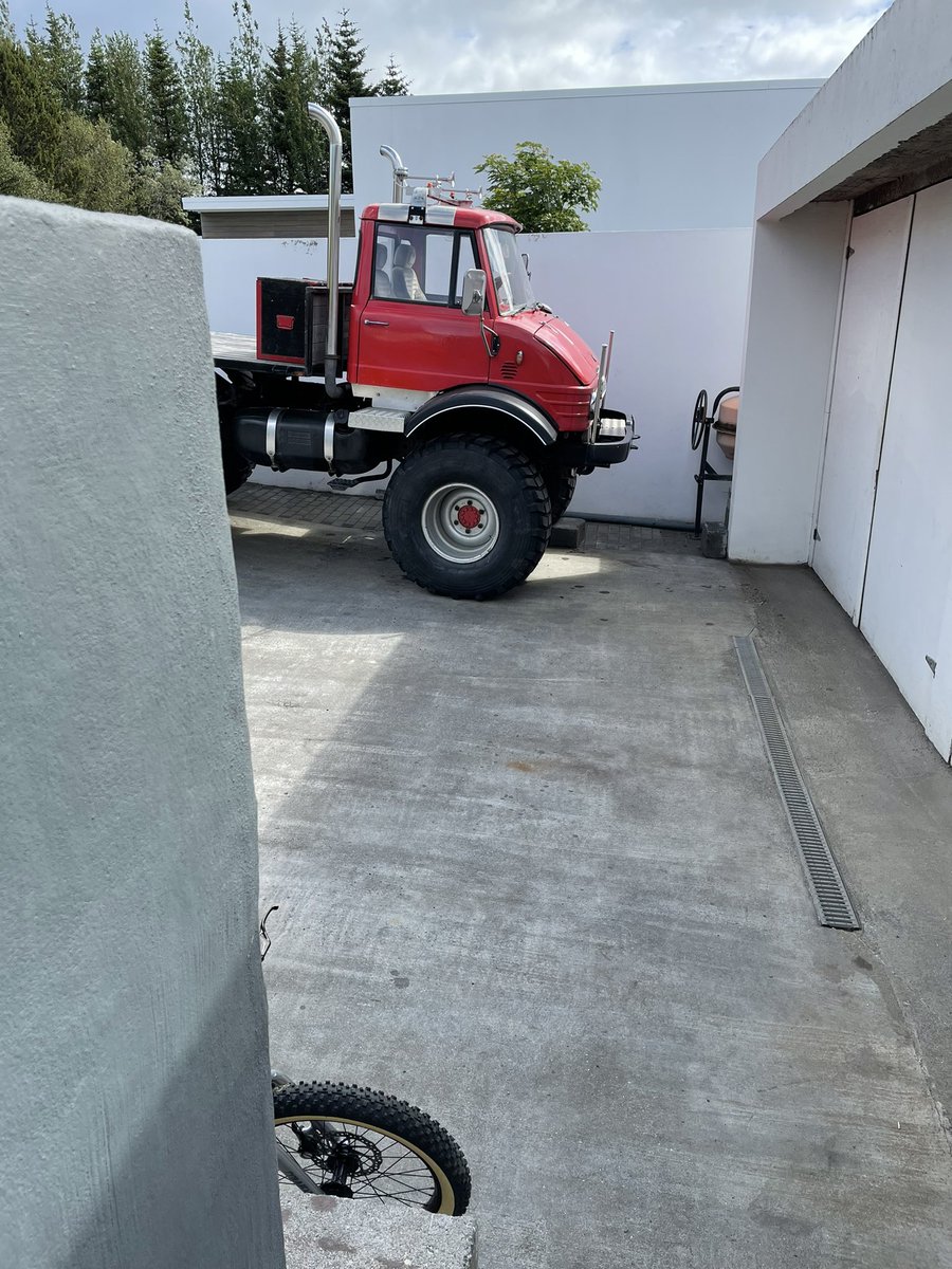 Gudny Thorarensen 🇵🇸 tweet media