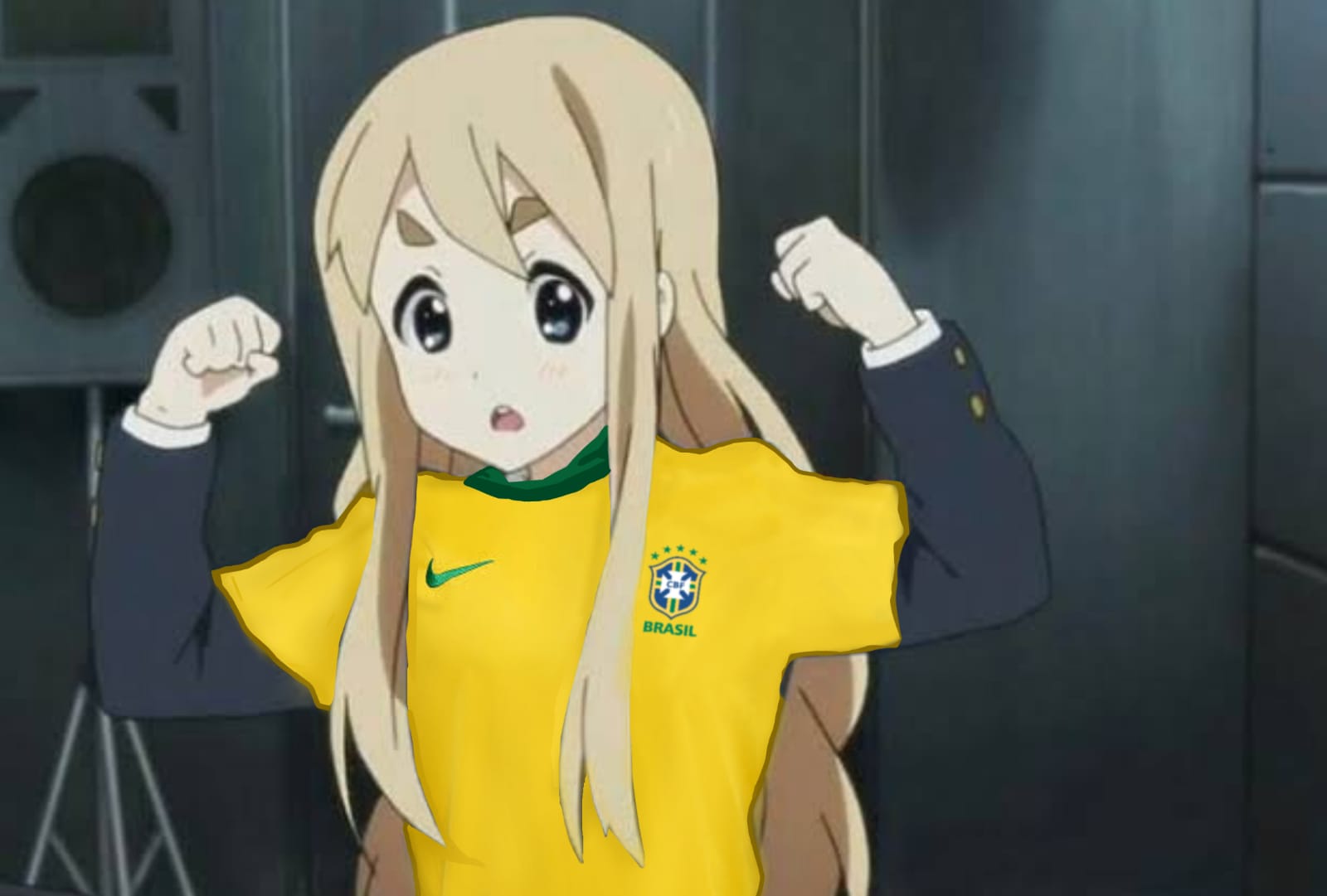 Enfim melhor estado do Brasil e quem discorda é fanboy~adm : r/AnimemeBR