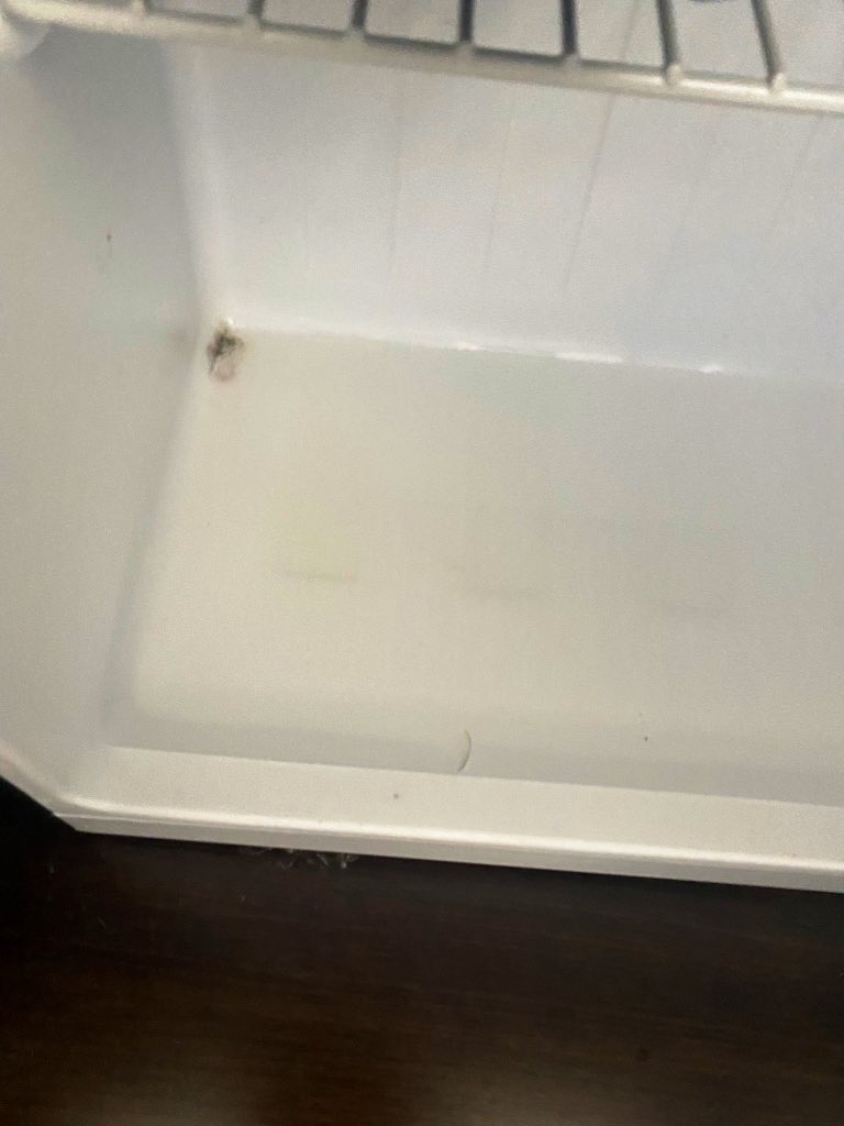 The In Zone tweet media