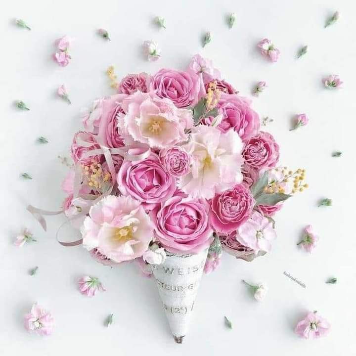 جزء كبير من الراحة النفسية تجدها في المصالحة مع نفسك  أن تتقبّل وضعكَ أياً كان  أن تتعامل مع ظروفك بواقعية  وأن تؤمن أنّ الدنيا ليست جنة لكنها ليست جحيماً كذلك  فلا تجلد ذاتك
لا تبحث عن السعادة في  ما لا تملكه " فقد ينقضي عمرك " دون أن تملكه  وتفقد طعم السعادة " فيما تملكه " !