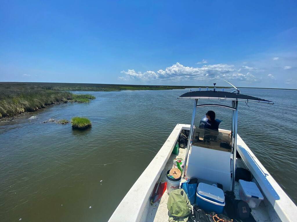 I can’t believe I haven’t posted a grid photo since April! I guess it’s not to scenic writing behind a computer all day. It felt great to get back into the field for a little bit this week and help a labmate out with their oyster restoration project. Whi… instagr.am/p/CRKkeecB2P3/