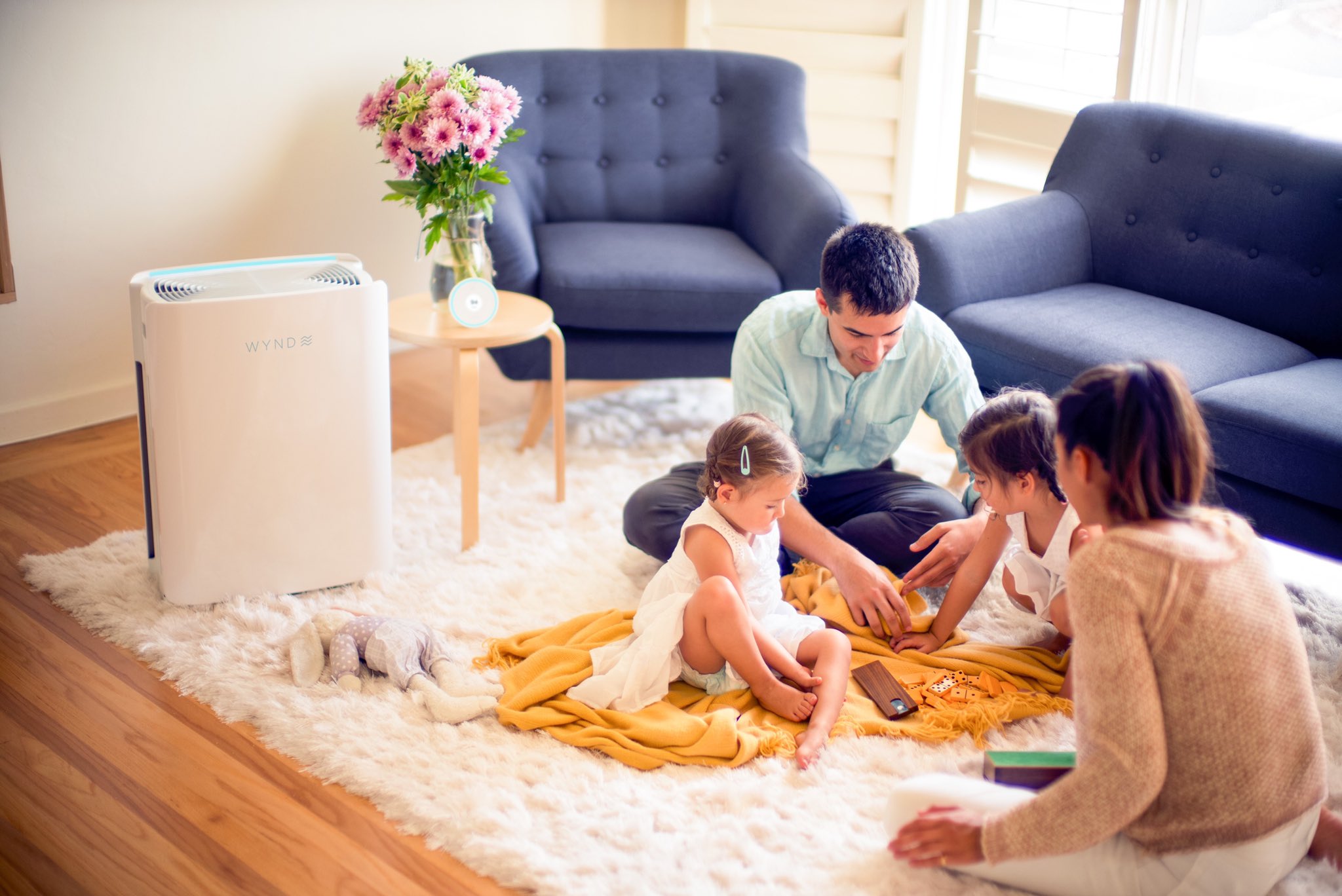 Wynd max air purifier deals
