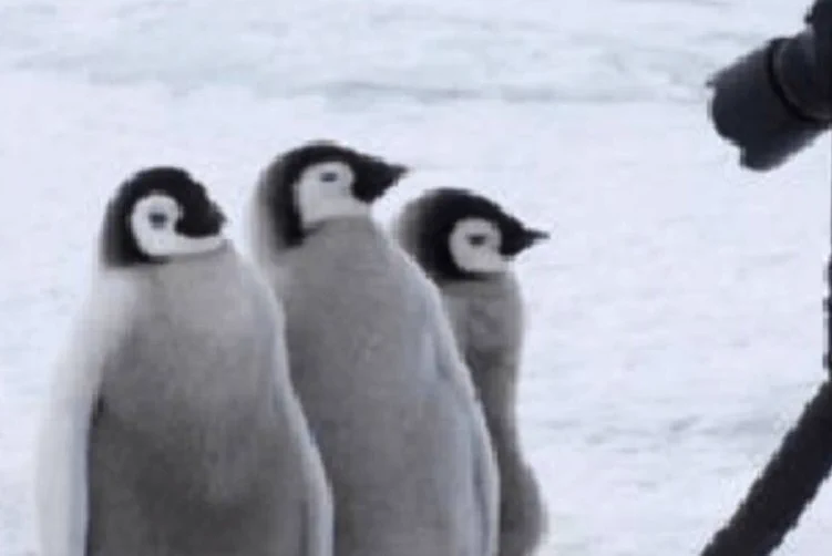 @tyomateee2 じゃあなんすか 