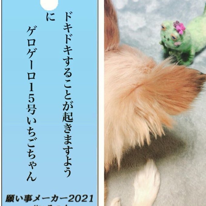 Twoucan 願い事 の注目ツイート モデル Twoucan 願い事 の注目ツイート モデル