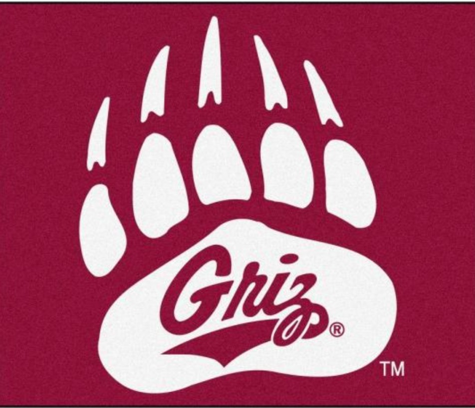 Gavin ORTEGA tweet media