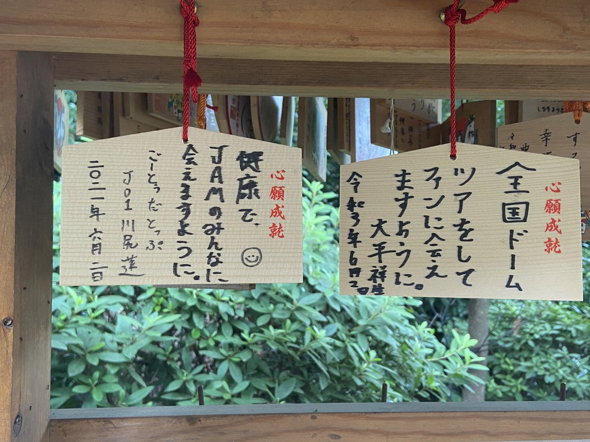 ynyn_mjoi's tweet photo. 大��八幡宮いってきた！
全員分綺麗に並べてくれてたよ〜‼️ https://t.co/Fnl5b4Qh8l