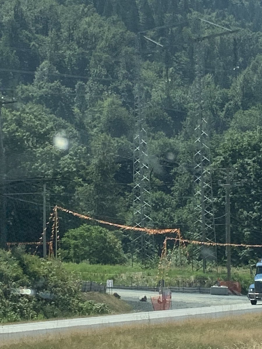 I was wondering what the orange ribbons were along the road on our way to Vancouver. I found out it was the Trans Mountain pipeline expansion.  I want to learn more about this. #transmountainpipeline
