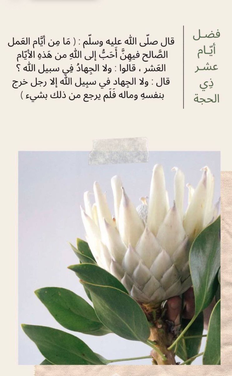 __n22n's tweet photo. فضل أيام عشر ذي الحجة💛💛
@BetaqaDaawia https://t.co/5oYmg2rDwY