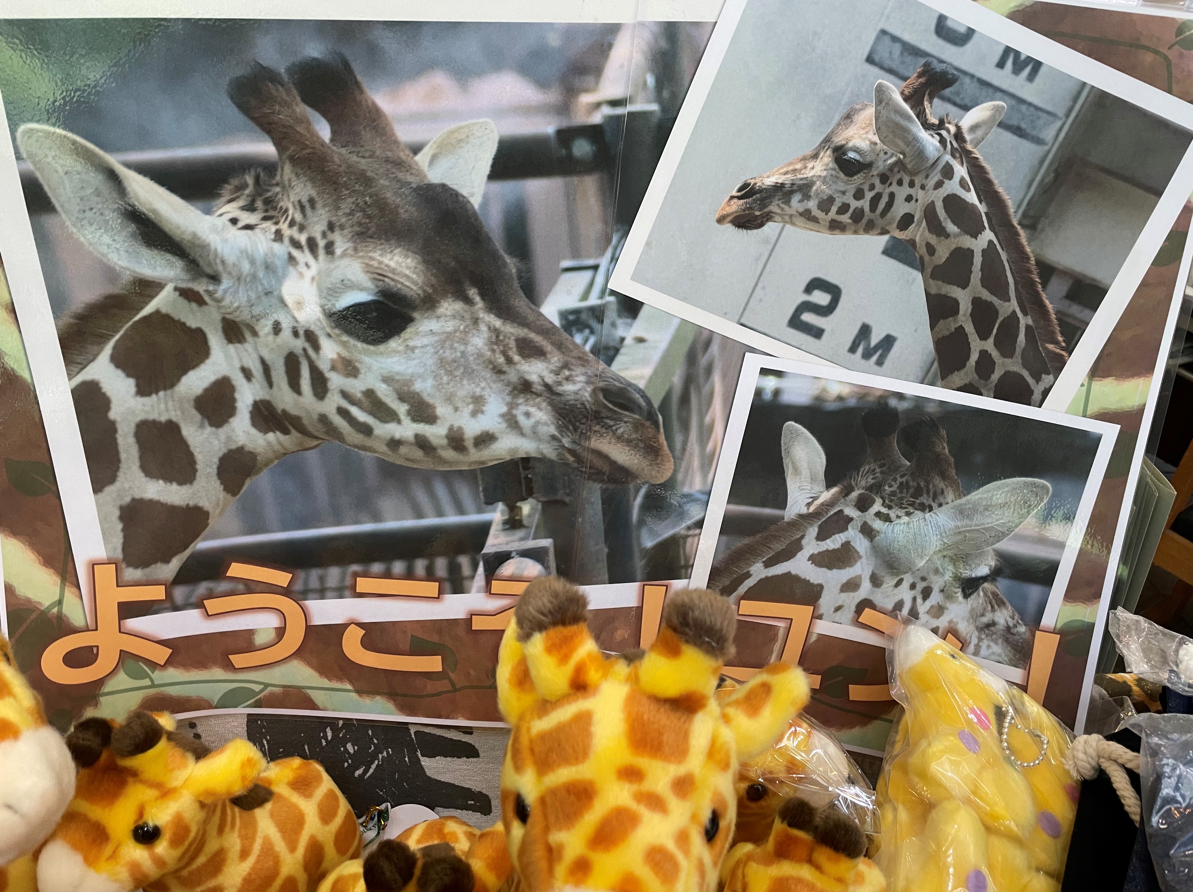 See Moriokazoo S Tweet On Jul 11 21 Twitter