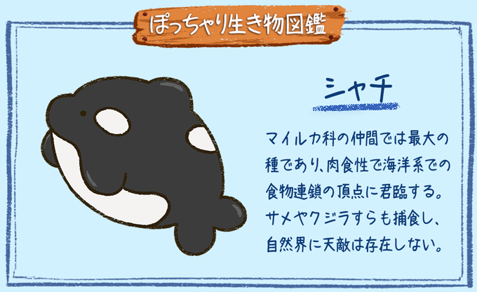 食物連鎖 図鑑 食物連鎖 図鑑