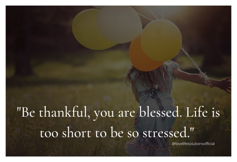 LoveLifeSoluti2's tweet photo. "Be thankful, you are blessed. Life is too short to be so stressed."
#stressfreeworld https://t.co/5RCz70Fb1P