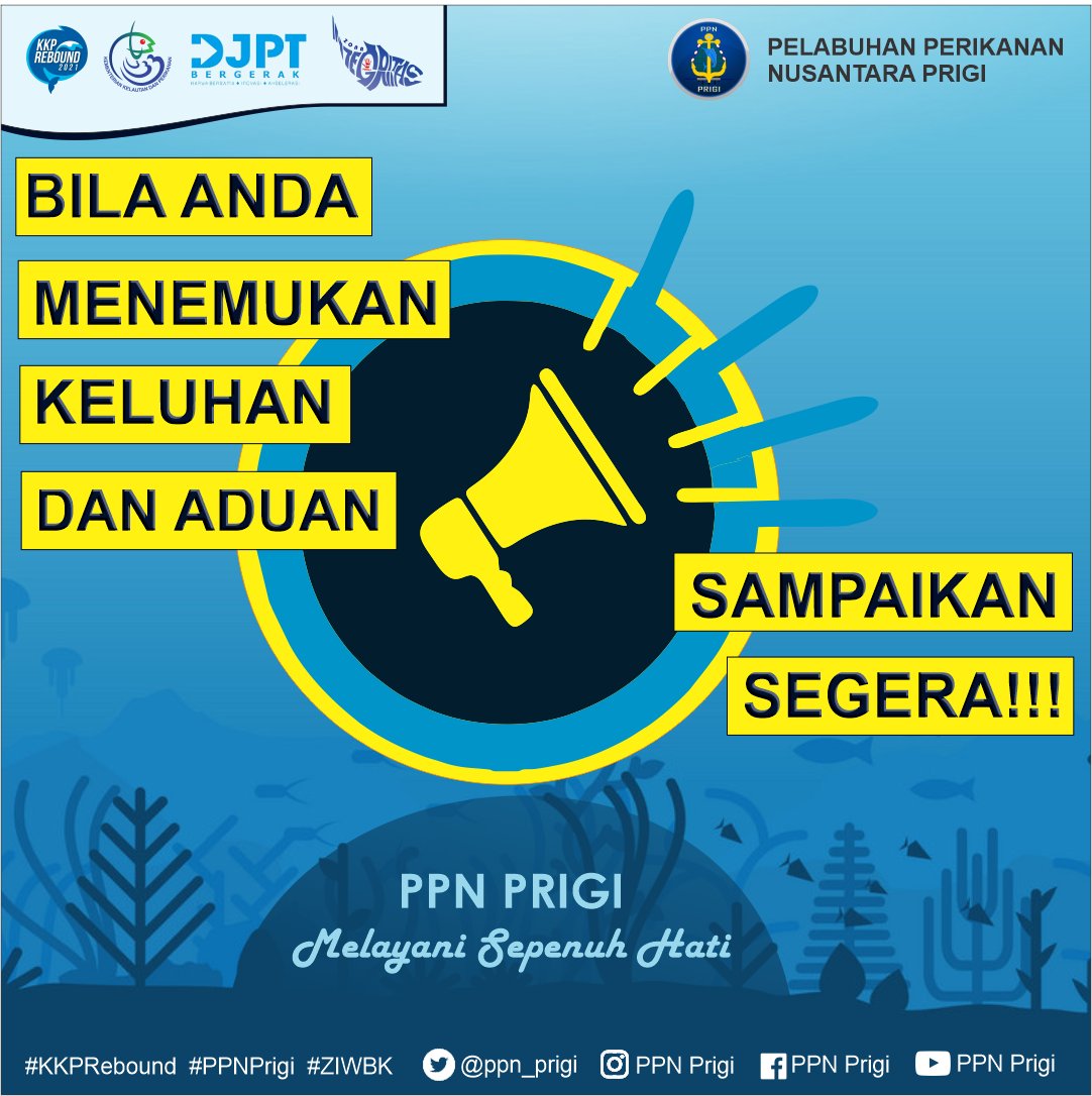 PPN Prigi tweet media