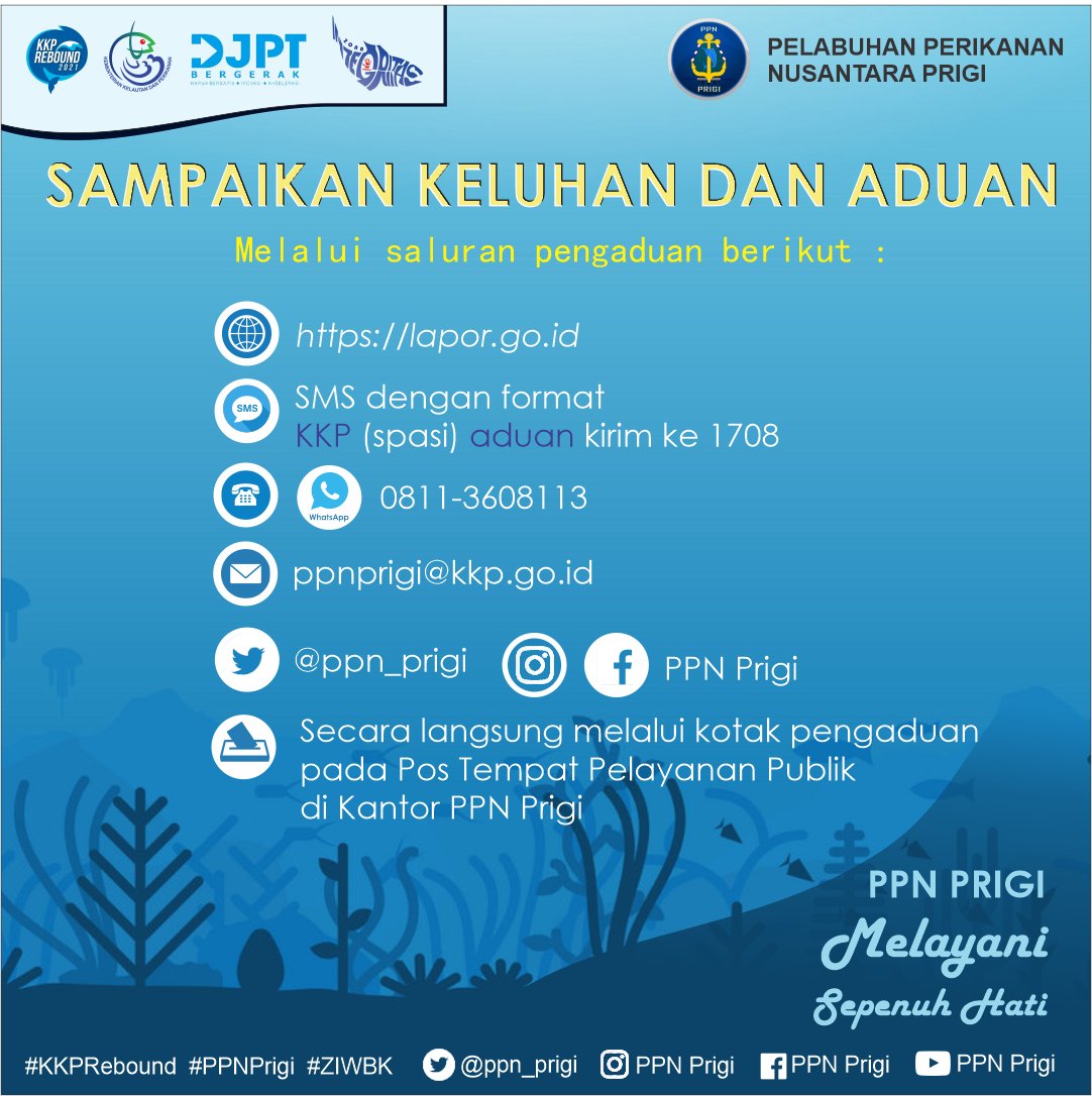 PPN Prigi tweet media