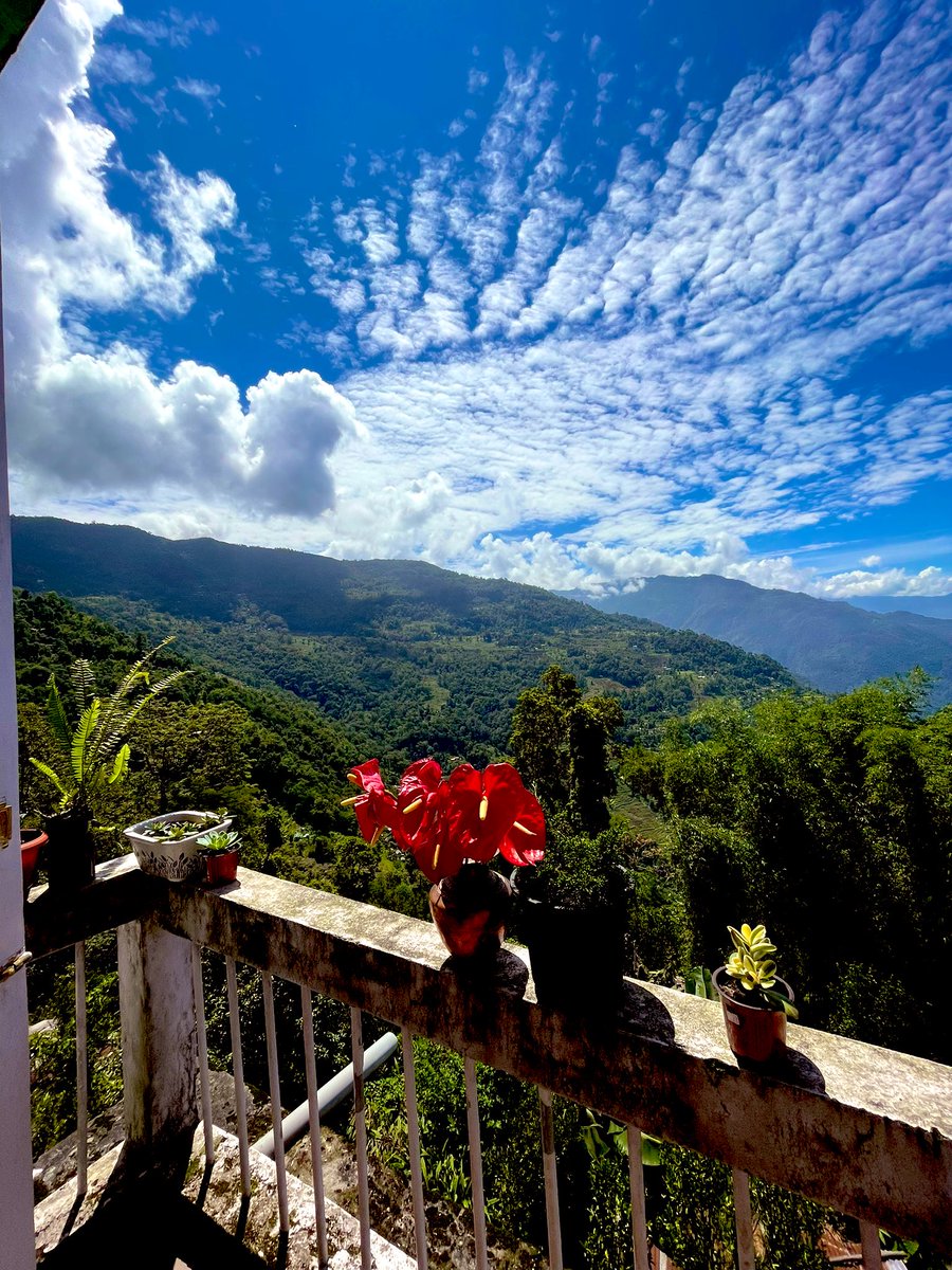 Ira Pradhan tweet media