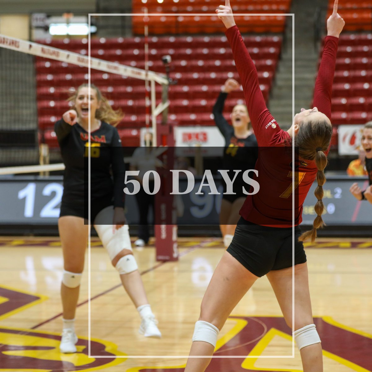 ULM 🏐 Volleyball tweet media