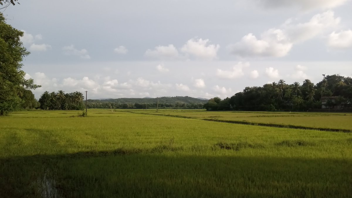 "നിന്റെ മൗനത്തിന്റെ പകർപ്പവകാശം എന്നും എന്റേതു മാത്രമായിരിക്കട്ടെ..."