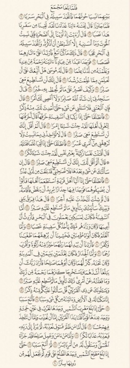 liasm8's tweet photo. #ليله_الجمعه
#يوم_الجمعه 
أَفسحوا لـ سورة الكهف وقتاً في يومكم
فـ هي نورٌ مابين الجمعتين 🌿. https://t.co/NVONcOoBAa