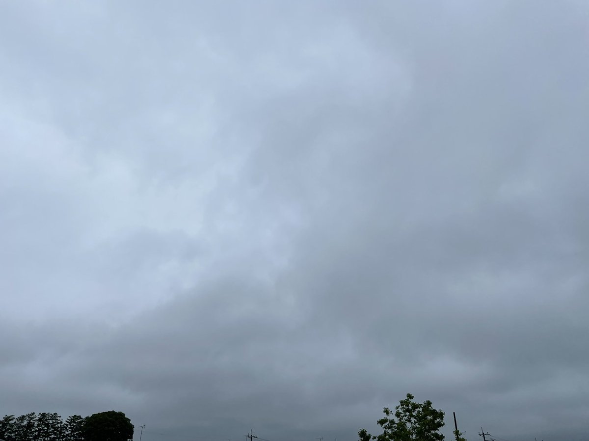 slowslowfood's tweet photo. こちらは今日のご近所
もわもわです💦
#さっきの空
#イマソラ
#零密
#群れない
#StaySafeStayHealthyMaskOn😷
#ThinkScientifically https://t.co/67ohb7Nu4D