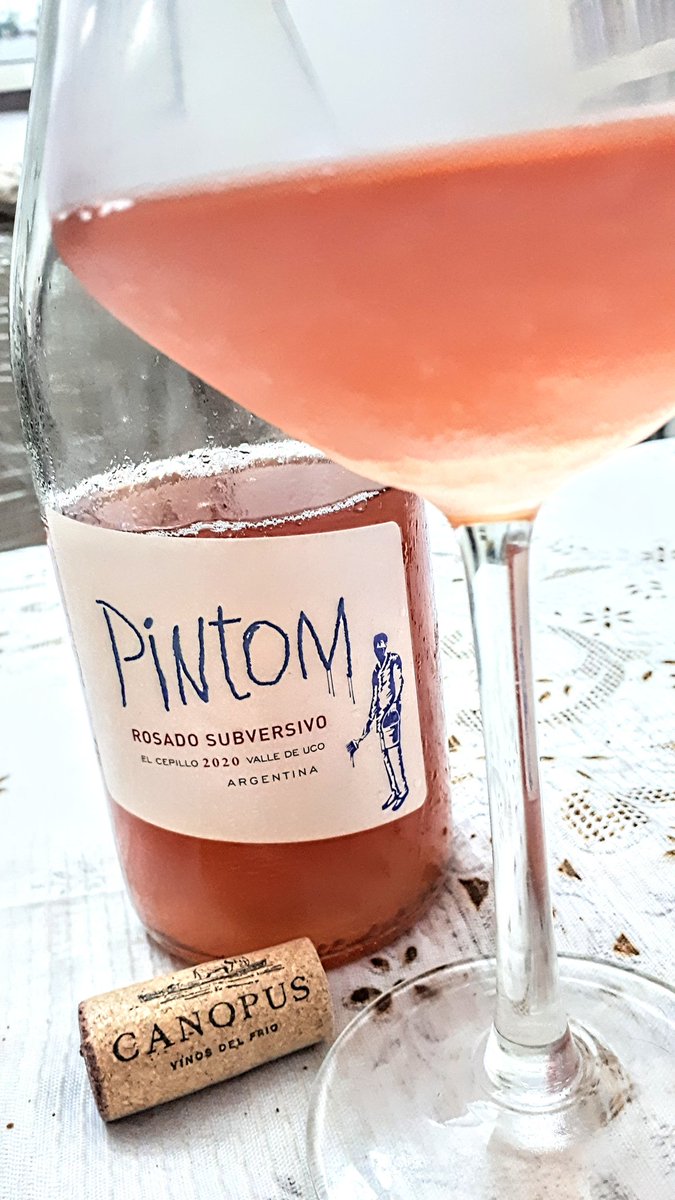 Gabi Kara 🇦🇲 tweet media