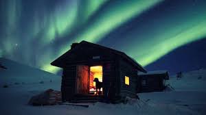 DogecoinNorway's tweet image. Good night from Norway my friends 👊🐶 stay safe spean soon 😁 #dogecoin #doge @itsALLrisky