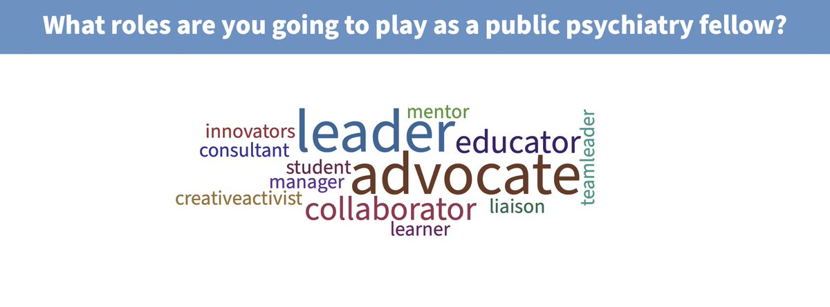 As our fellows transition from trainee to team leader, it’s always refreshing to see how their understanding of their role expands! #Advocate #Educator #PublicPsychiatrists #PPF #MentalHealth