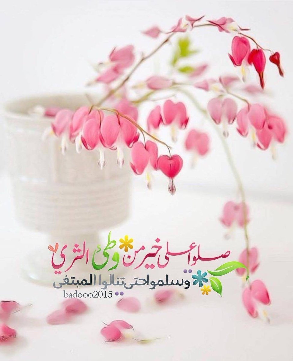 اعاشق مؤاخرتك ومراتك (@mo4xmt8yfuu) on Twitter photo اللهم إنا نستغفرك مما قصرنا فيه.. ونستعين بك على ما عجزنا عنه..
🌷جمعه مباركه🌷
🌹باالصلاه ع رسول الله🌹 اللهم إنا نستغفرك مما قصرنا فيه.. ونستعين بك على ما عجزنا عنه..
🌷جمعه مباركه🌷
🌹باالصلاه ع رسول الله🌹