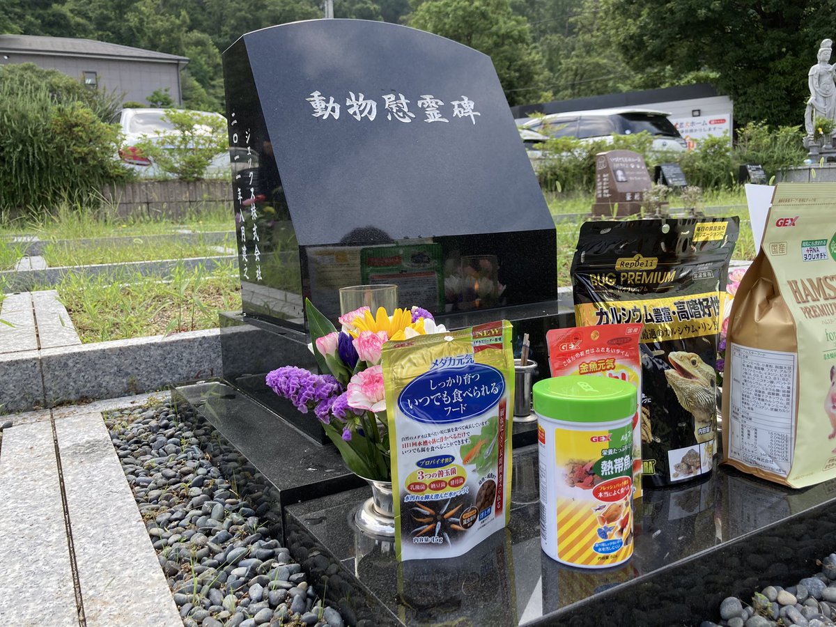 gex_petlife's tweet image. 今日はジェックスの動物慰霊碑にオーナー始め役員、社員でお参りの日。
創立日が7月7日なので、この日を選んでいます。
生きものたちの暮らしがより良くなるよう、業界に携わるメーカーとして、これからも感謝して努めて参ります。