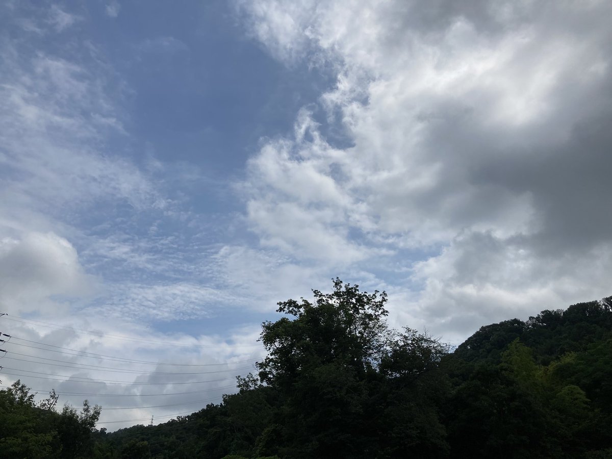 gex_petlife's tweet image. 今日はジェックスの動物慰霊碑にオーナー始め役員、社員でお参りの日。
創立日が7月7日なので、この日を選んでいます。
生きものたちの暮らしがより良くなるよう、業界に携わるメーカーとして、これからも感謝して努めて参ります。