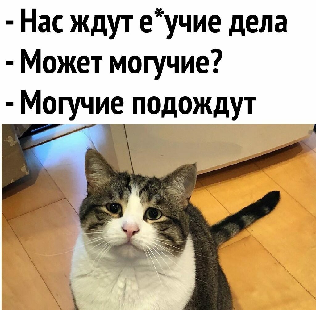AVSeregin's tweet photo. https://t.co/S3o5dB14lp
