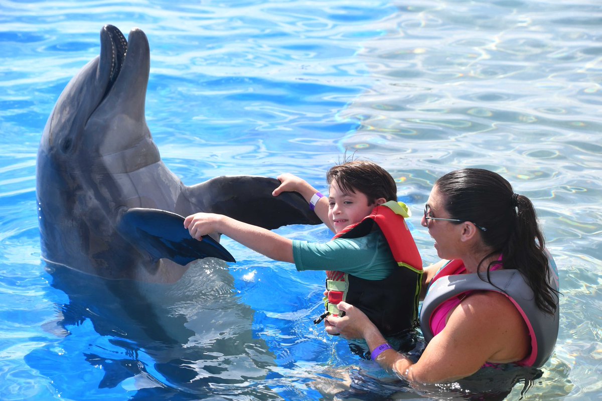 mrstesori's tweet photo. Did a thing today with the little dude. 🐬❤️ #makingmemories #dancingwithdolphins #fundayswithdaddyandDub #missedyouKourt https://t.co/1PjMWir6Q9