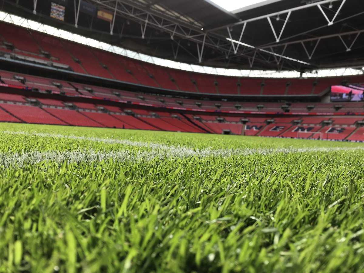 NewtonsBLS's tweet image. Have you been watching the Euros and want the Wembley look in your own backyard?

…It’s more achievable than you might think!

Speak to our turf specialists in store today and you could have your lawn looking pristine in time for Spring!