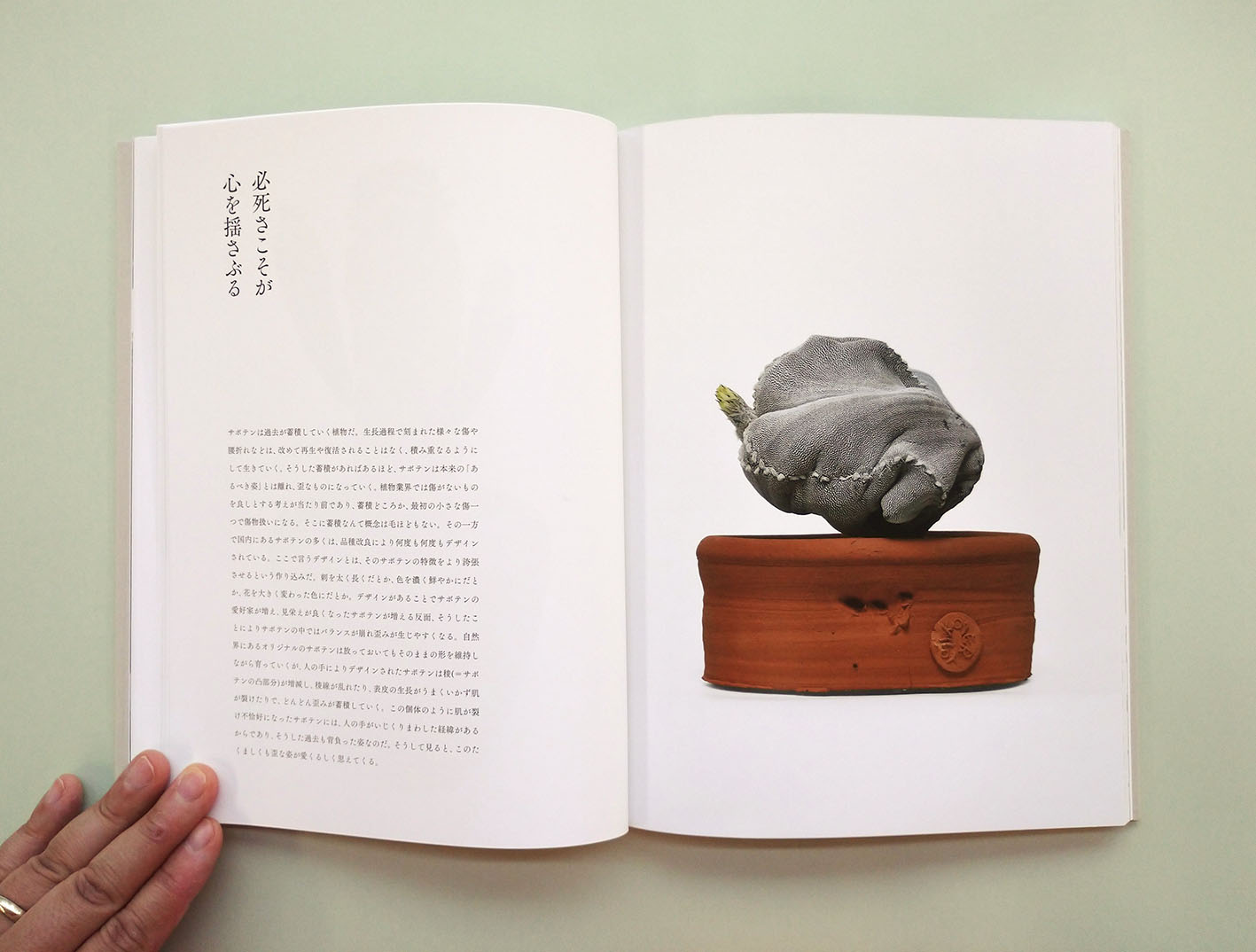 津田淳子 Twitterissa 新刊 叢 くさむら の視点 植物の新しい価値観を問う 小田康平著 3600円 税 枯れそうなところから 再生する 歪な姿から新たな茎を伸ばす 価値がないと思われがちなそんなサボテンや多肉を 独自の視点から美しいと感じる叢の小田