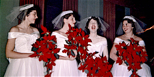 TomCarrozza's tweet image. 