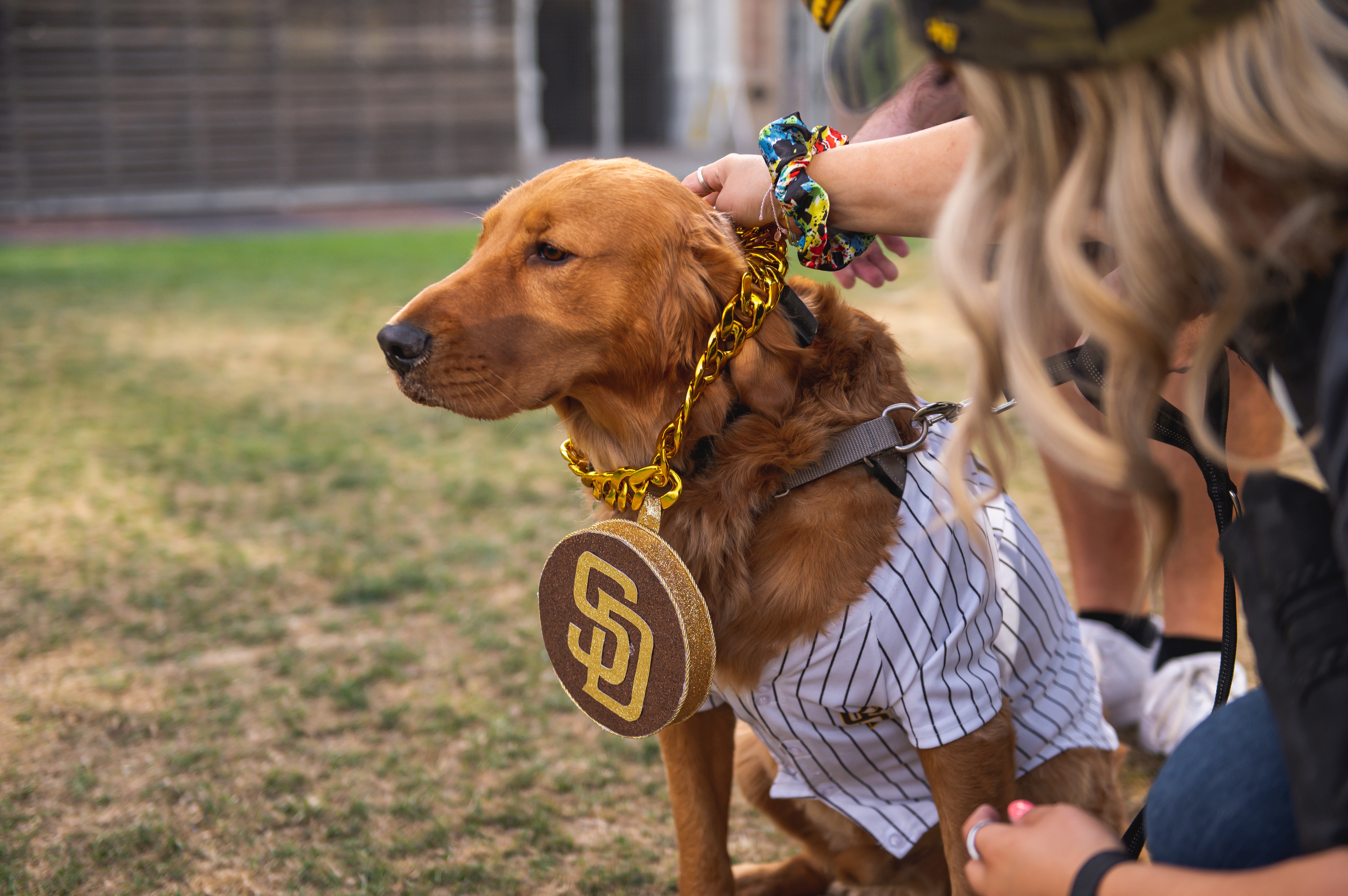 San Diego Padres Pet Jersey