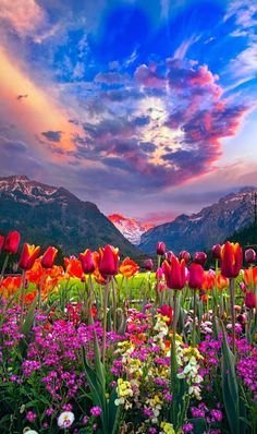 💐💐💐🌴🌴🌴Good Morning twitter world!!!
Very happy weekend!!!
Be safe and be positive!!!
The world will shine again.🌲🌲🌲🌹🌹🌹🌺🌺🌺🏵️🏵️🏵️🌸🌸🌸