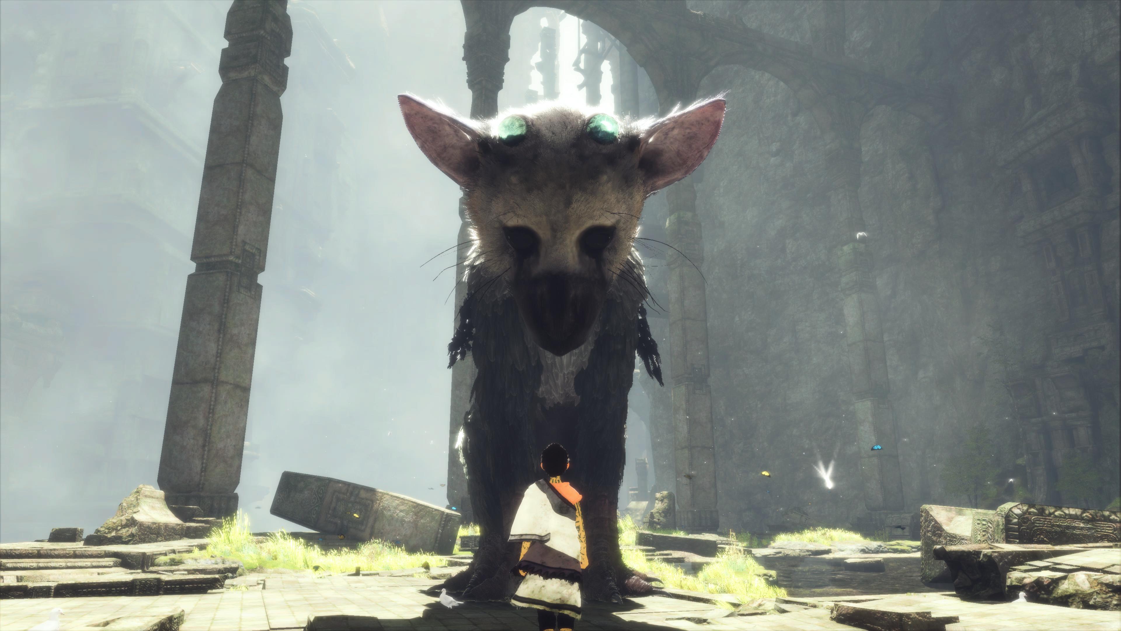 The Last Guardian: How to Control Trico