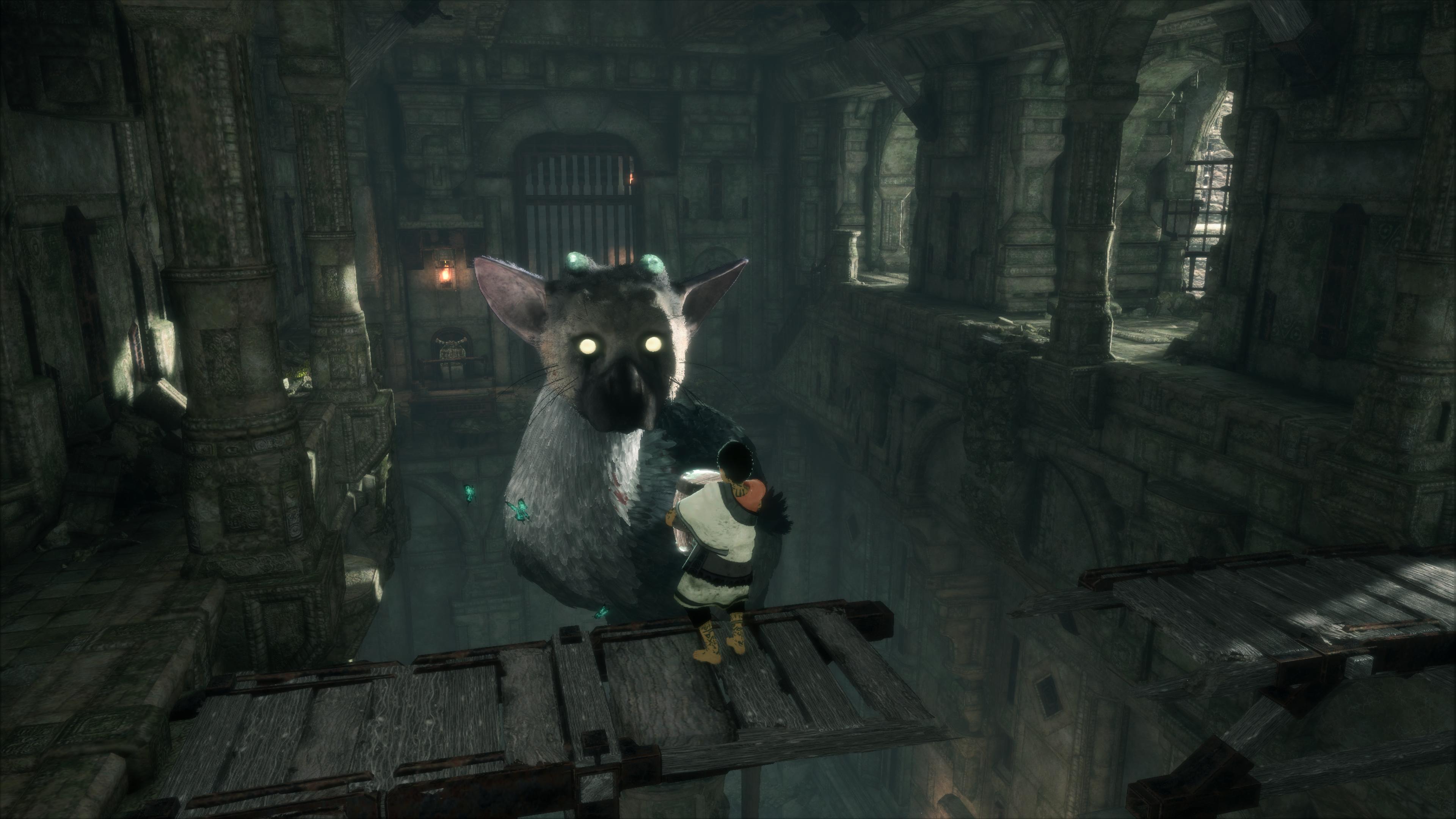 The Last Guardian - Trico's Hurt (20) 