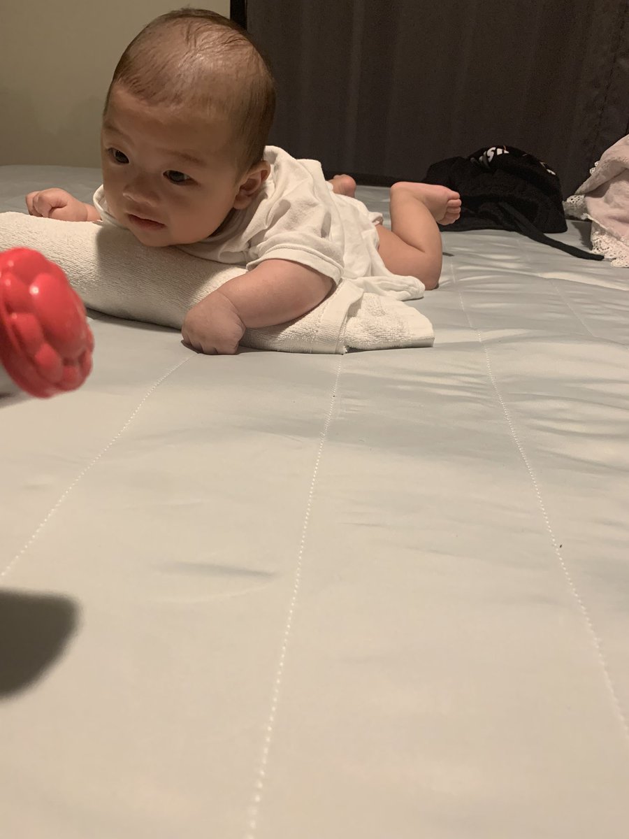 chamomonsuto's tweet photo. IKEA行きたい🥺

って息子が言ってる🥺 https://t.co/XMqecchg0T