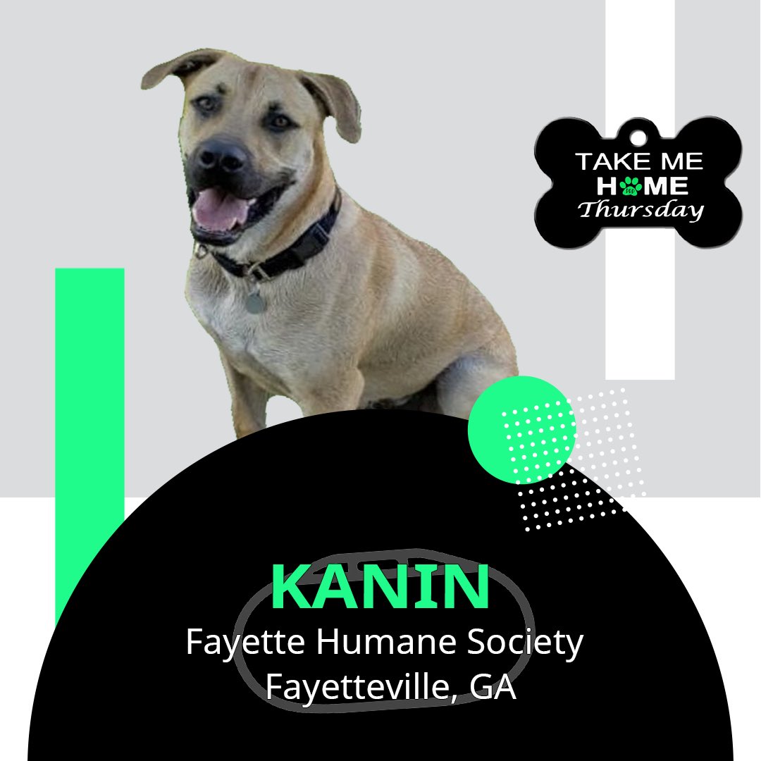 Take Me Home Thursday🏠🐾

<a href="/NASCAR/">NASCAR</a> returns to @amsupdates this weekend! Kanin wants to be a new addition to your home! He’s available <a href="/fayettehumane/">Fayette Regional Humane Society</a> in Fayetteville, GA.

petfinder.com/dog/kanin-5220…

#TakeMeHome #PedalDownforPets #fortheloveofpets #NASCAR #XfinitySeries #CupSeries