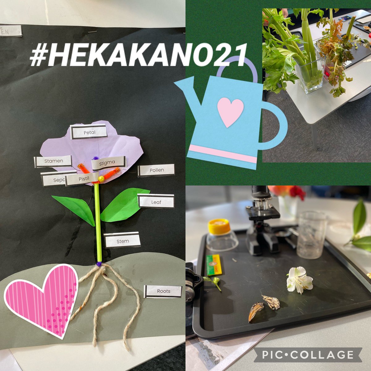 Let the science lesson begin 🌻🔬🦠#hekakano21