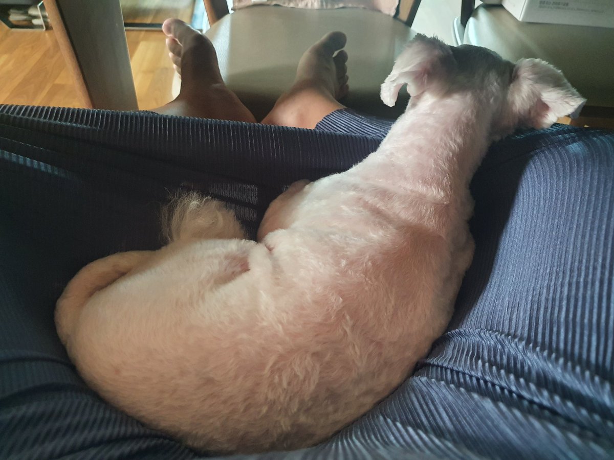 내 짱긴 원피스로 누리 해먹 만들기