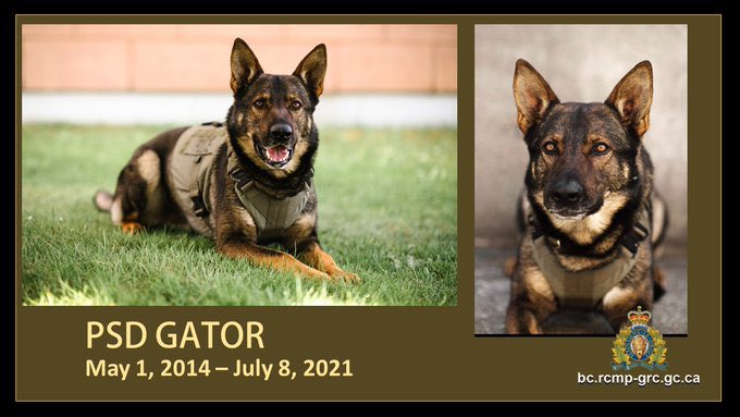 PortMoody Police CAT tweet media