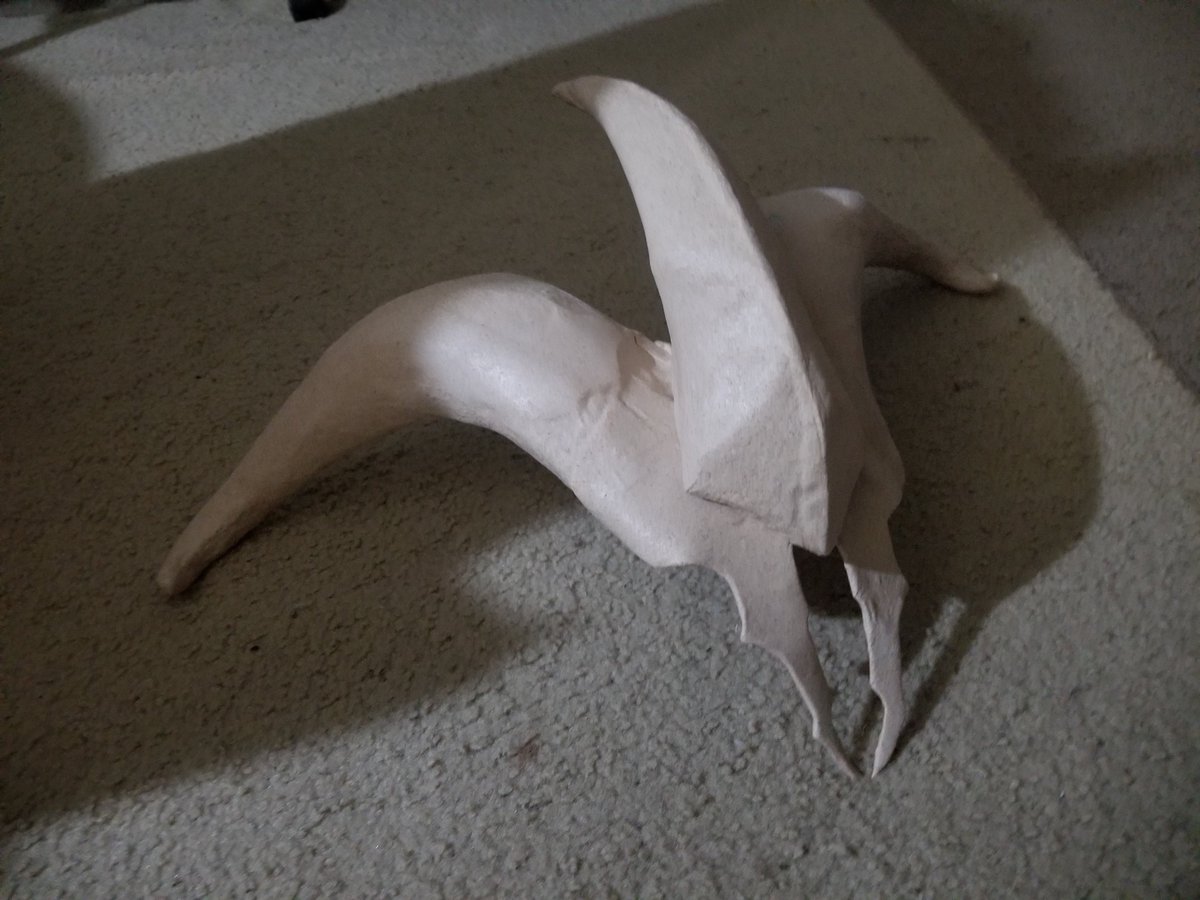 Nara Sullivan tweet media